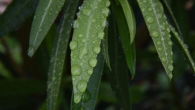 drop rate time analysis