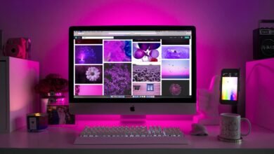 movie downloading website portal