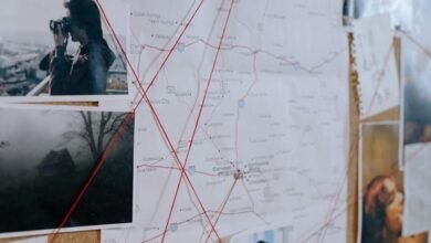 surveillance council identifies risks
