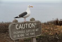 xovfullmins potential danger assessed