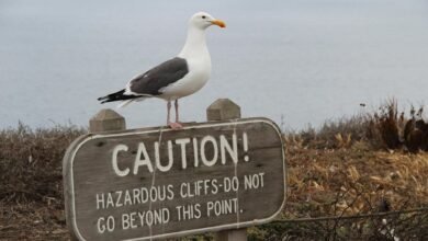 xovfullmins potential danger assessed
