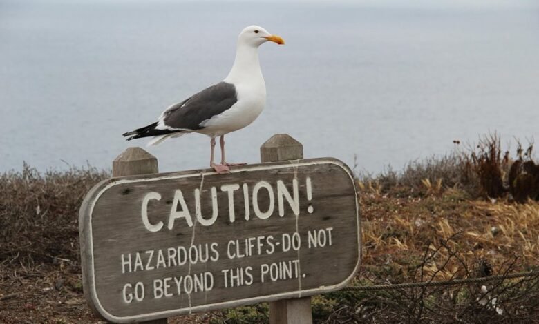 xovfullmins potential danger assessed
