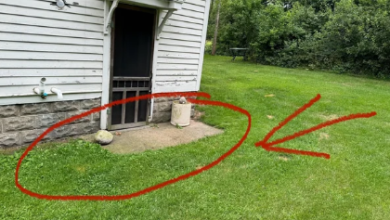 Can Smarter Drainage Systems Protect Your Property from Costly Water Damage?