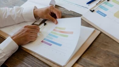 executive systems summary report