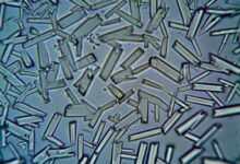 market analysis for products