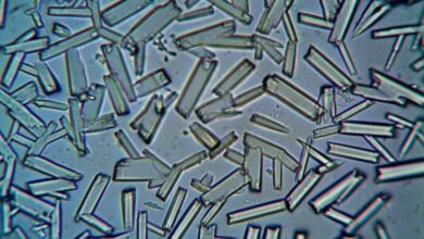 market analysis for products