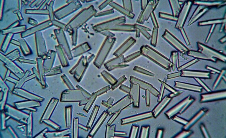 market analysis for products