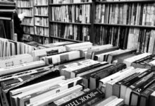 organizational framework study details